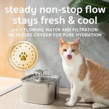 Load image into Gallery viewer, Veken Innovation Award Winner Stainless Steel Cat Water Fountain, 95oz/2.8L Automatic Pet Fountain Dog Water Dispenser with Replacement Filters &amp; Silicone Mat, Gifts for Cats, Dogs (Silver)