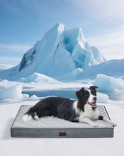 Load image into Gallery viewer, Ophanie Gray Orthopedic Dog Bed For Large Dogs with Egg Crate Foam Support and Non-Slip Bottom, Waterproof and Machine Washable Removable Pet Bed Cover