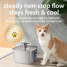 Load image into Gallery viewer, Veken Innovation Award Winner Stainless Steel Cat Water Fountain, 108oz/3.2L Automatic Pet Fountain Dog Water Dispenser with 3 Replacement Filters &amp; Silicone Mat, Gifts for Cats, Dogs (Silver)