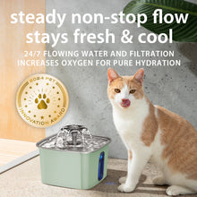 Load image into Gallery viewer, Veken Innovation Award Winner Stainless Steel Cat Water Fountain, 108oz/3.2L Automatic Pet Fountain Dog Water Dispenser with Replacement Filters &amp; Silicone Mat for Cats, Dogs (Tea Green)