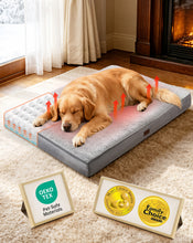 Load image into Gallery viewer, OhGeni Self-Warming Orthopedic Large Dog Bed, Memory Foam, 41 inch-XL(Gray)