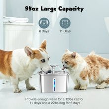 Load image into Gallery viewer, Ophanie 95oz/2.8L Pet Fountain, Stainless Steel Cat Dog Water Fountain Dispenser